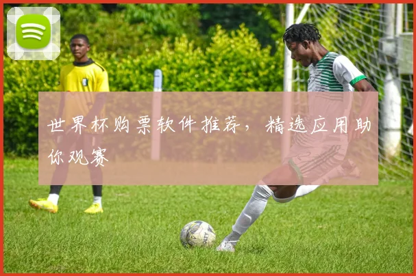 世界杯购票软件推荐，精选应用助你观赛