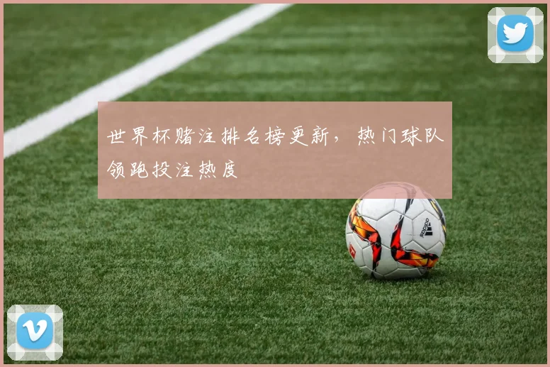 世界杯赌注排名榜更新,热门球队领跑投注热度