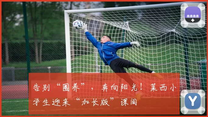 告别“圈养”,奔向阳光!莱西小学生迎来“加长版”课间